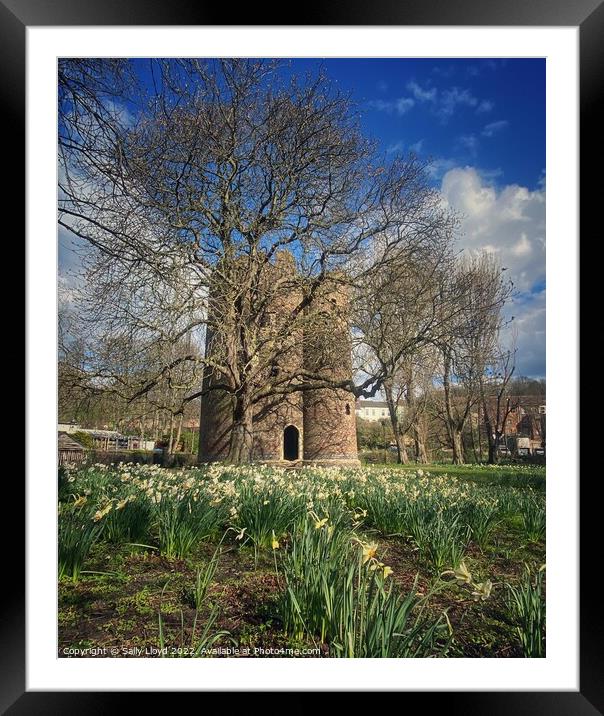 Cow Tower in Spring, Norwich Framed Mounted Print by Sally Lloyd