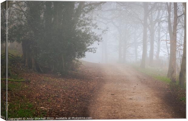 path to somwhere Canvas Print by Andy Shackell