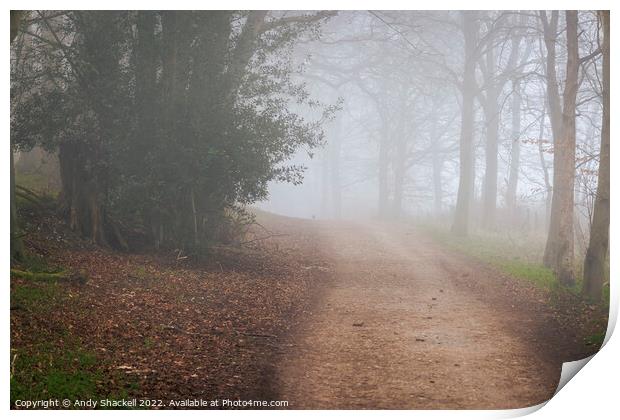 path to somwhere Print by Andy Shackell