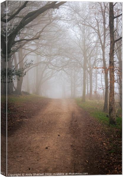 into the mist  Canvas Print by Andy Shackell