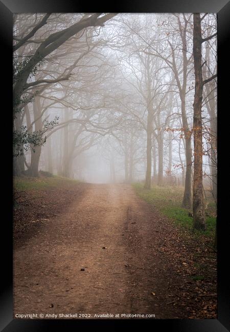 into the mist  Framed Print by Andy Shackell