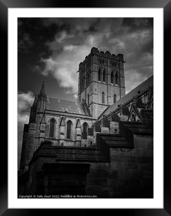 St John the Baptist Cathedral, Norwich Framed Mounted Print by Sally Lloyd