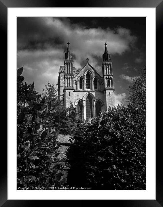 St John the Baptist Catholic Cathedral Norwich Tower View Framed Mounted Print by Sally Lloyd