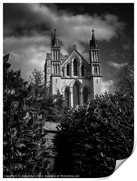 St John the Baptist Catholic Cathedral Norwich Tower View Print by Sally Lloyd