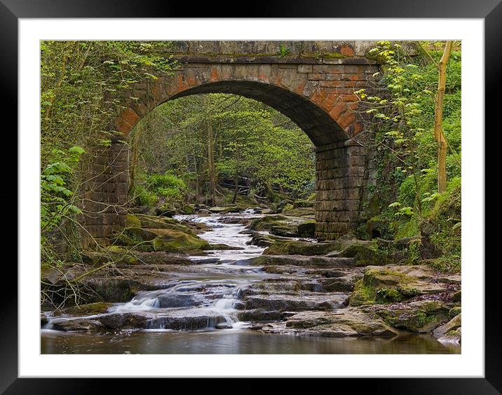 Bridge over May Beck Framed Mounted Print by Terry Sandoe