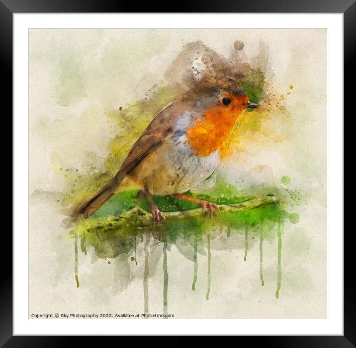 Robin in the woods Framed Mounted Print by Sky Photography