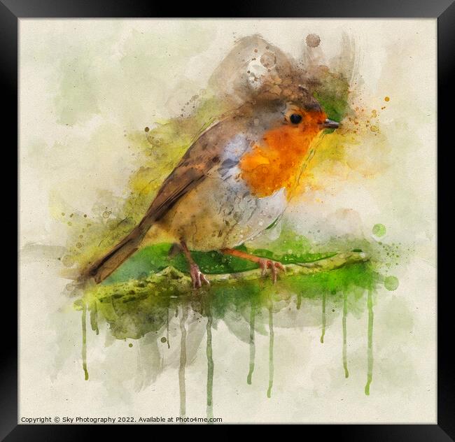 Robin in the woods Framed Print by Sky Photography