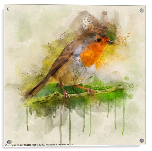 Robin in the woods Acrylic by Sky Photography
