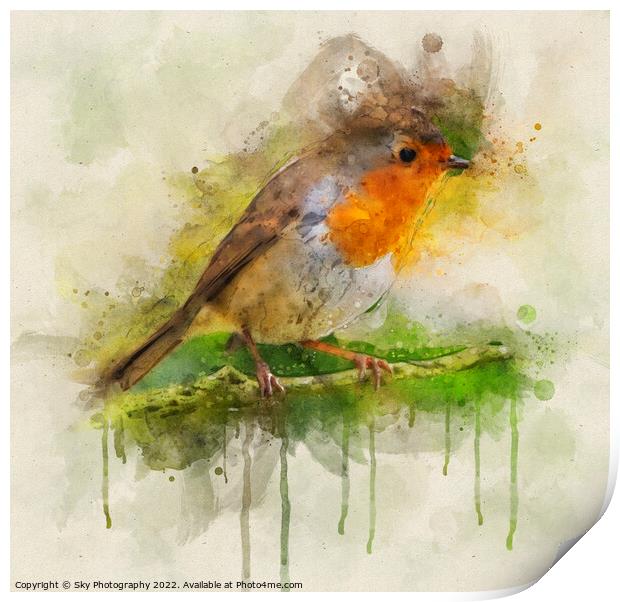 Robin in the woods Print by Sky Photography