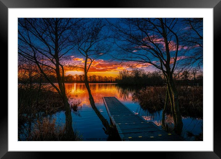 Liquid Gold Framed Mounted Print by Storyography Photography