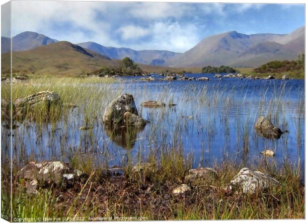 Loch Rannoch-Rannoch Moor Canvas Print by dale rys (LP)