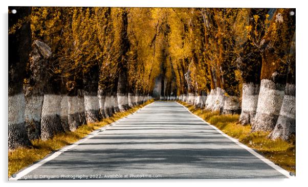 Alentejo Autumn Country Road Acrylic by DiFigiano Photography