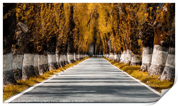 Alentejo Autumn Country Road Print by DiFigiano Photography