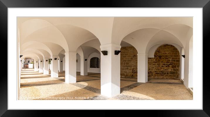 Olivenza Arches Framed Mounted Print by DiFigiano Photography
