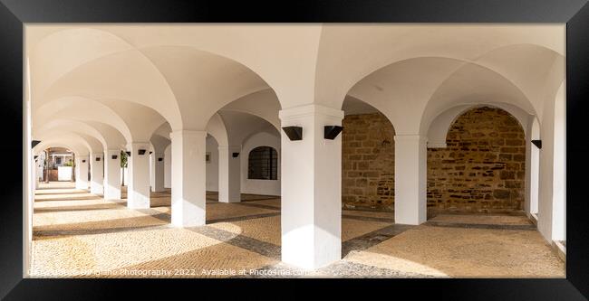 Olivenza Arches Framed Print by DiFigiano Photography