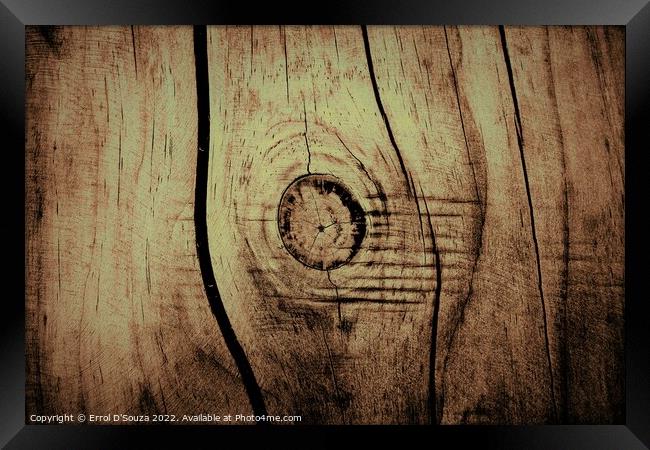 Rustic timber whorl cross section  Framed Print by Errol D'Souza