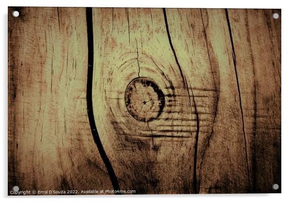 Rustic timber whorl cross section  Acrylic by Errol D'Souza