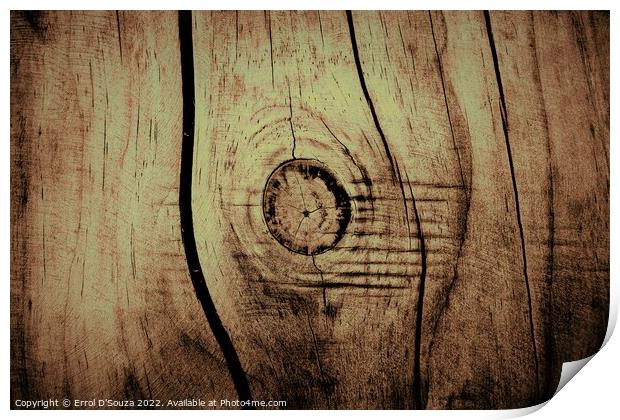 Rustic timber whorl cross section  Print by Errol D'Souza