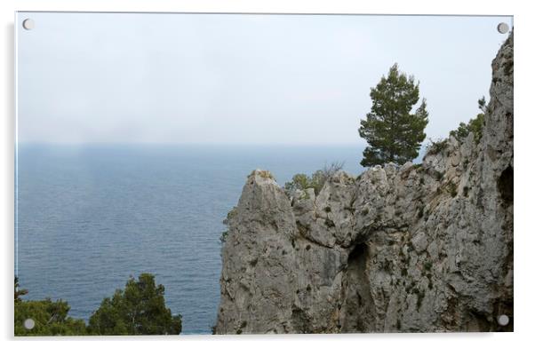 The beautiful coast of Capri, Italy Acrylic by Lensw0rld 