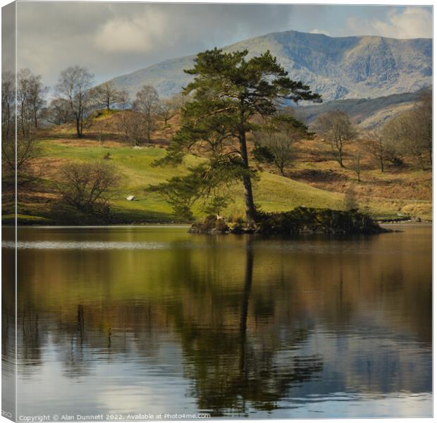 Alone at Tarn Hows Canvas Print by Alan Dunnett