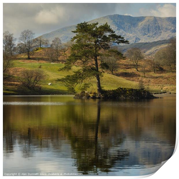 Alone at Tarn Hows Print by Alan Dunnett