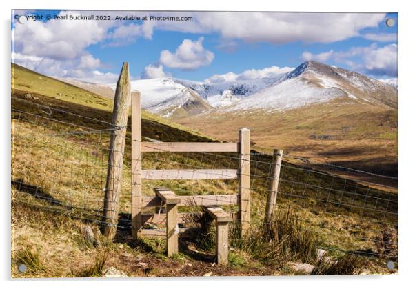 Path to Carneddau Mountains Snowdonia Wales Acrylic by Pearl Bucknall