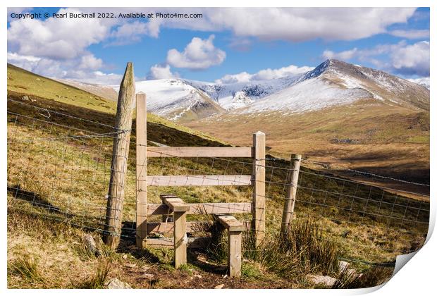 Path to Carneddau Mountains Snowdonia Wales Print by Pearl Bucknall