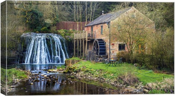 Rutter Force and Rutter Mill on the Dales High Way between Newbi Canvas Print by Peter Stuart