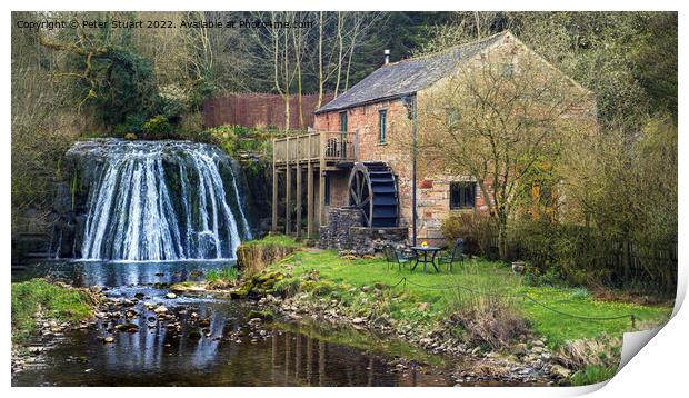 Rutter Force and Rutter Mill on the Dales High Way between Newbi Print by Peter Stuart