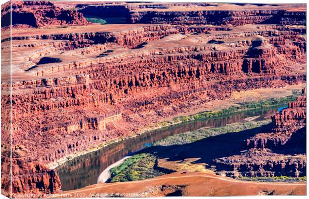 Green River Grand View Point Canyonlands National Park Moab Utah Canvas Print by William Perry