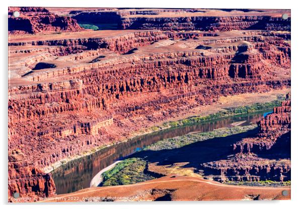 Green River Grand View Point Canyonlands National Park Moab Utah Acrylic by William Perry