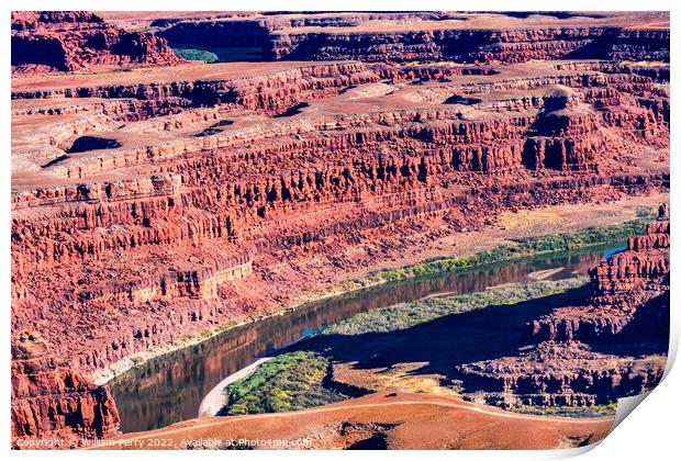 Green River Grand View Point Canyonlands National Park Moab Utah Print by William Perry