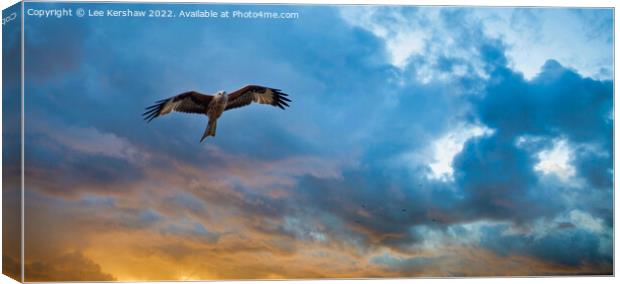 Sunset Flight Canvas Print by Lee Kershaw