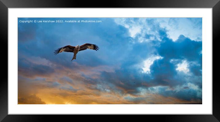 Sunset Flight Framed Mounted Print by Lee Kershaw