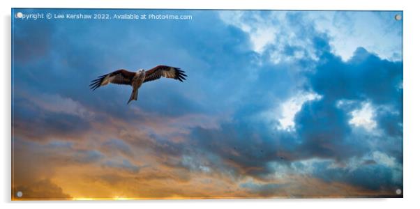 Sunset Flight Acrylic by Lee Kershaw