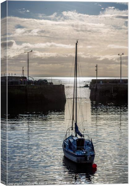 St Monans harbour Canvas Print by Douglas Kerr