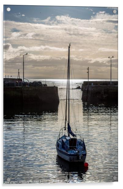 St Monans harbour Acrylic by Douglas Kerr