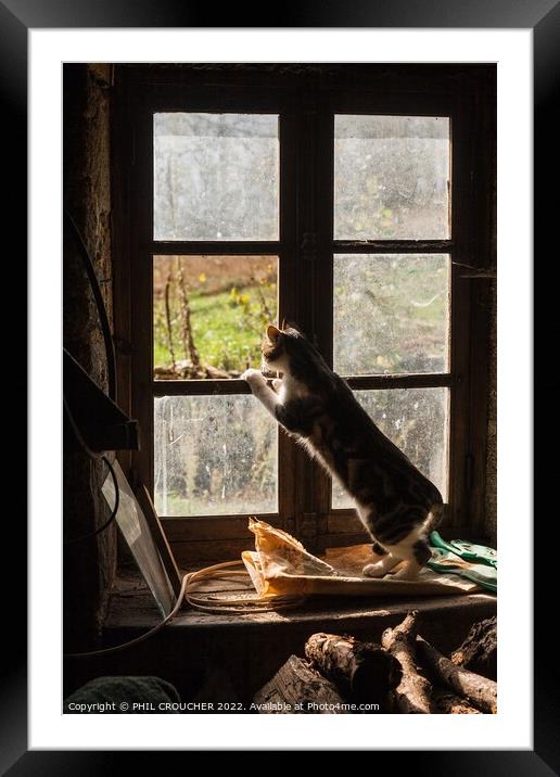 The look out Framed Mounted Print by PHIL CROUCHER