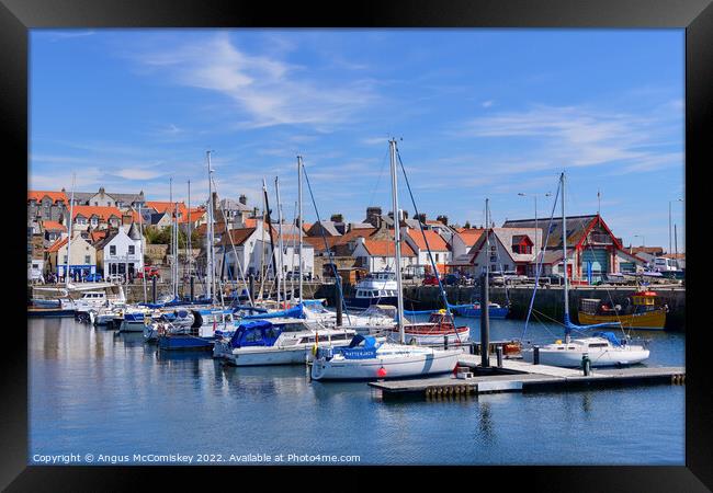 Boats moored in Anstruther marina, Fife Framed Print by Angus McComiskey