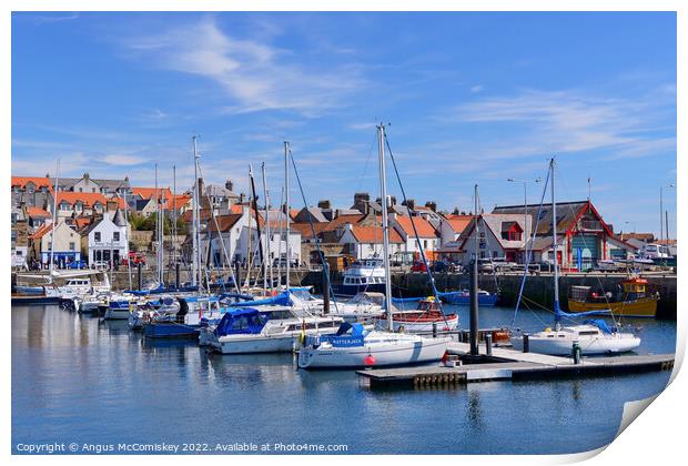 Boats moored in Anstruther marina, Fife Print by Angus McComiskey