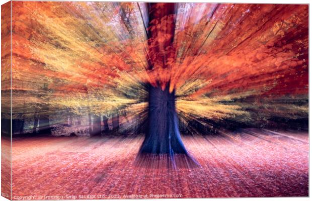 The Distorted Forest Canvas Print by Storyography Photography