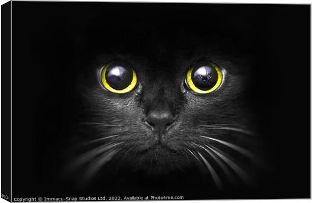 The Dark Predator Canvas Print by Storyography Photography