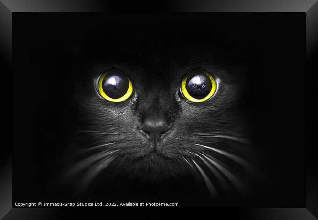 The Dark Predator Framed Print by Storyography Photography