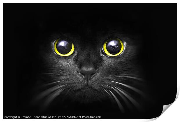 The Dark Predator Print by Storyography Photography