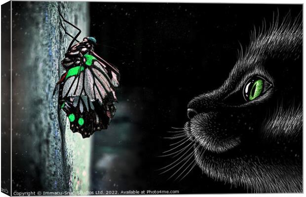 The Cat and Butterfly Canvas Print by Storyography Photography