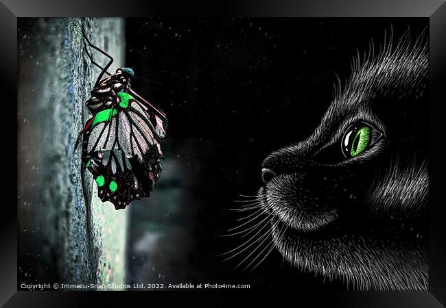 The Cat and Butterfly Framed Print by Storyography Photography