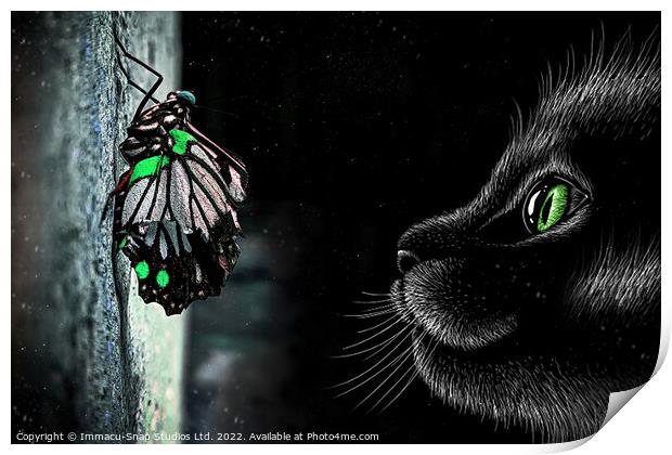 The Cat and Butterfly Print by Storyography Photography
