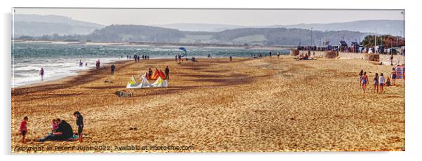 Loving The Beach Exmouth Acrylic by Peter F Hunt