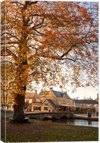 Bourton on the Water Autumn Trees Cotswolds UK Canvas Print by Andy Evans Photos