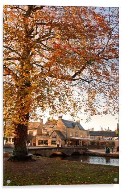 Bourton on the Water Autumn Trees Cotswolds UK Acrylic by Andy Evans Photos